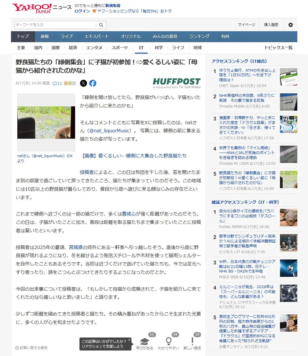 説明